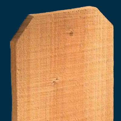 <a href="https://www.goodvaluecenter.com/index.php?option=com_eshop&view=product&id=81883&catid=452&Itemid=334">Cedar Fence Pickets</a>